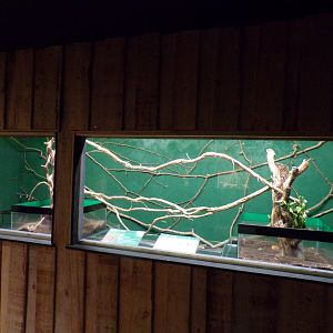 Leafcutter ant enclosure  14.10.23
