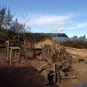 Meerkat and cape porcupine enclosure 14.10.23