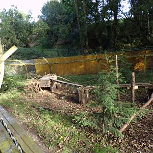 Arctic fox enclosure 14.10.23