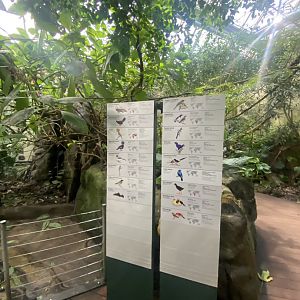 Tropezoo walkthrough aviary 261124