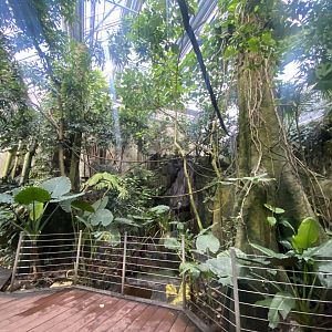 Tropezoo walkthrough aviary 261124