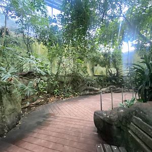 Tropezoo walkthrough aviary 261124