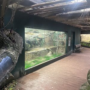 Tropezoo - Royal python exhibit 261124