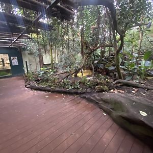 Tropezoo walkthrough aviary 261124