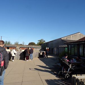 View after immediately entering the zoo 14.10.23