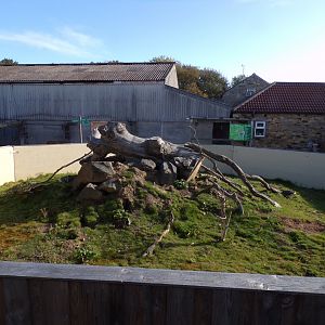 Prairie dog enclosure 14.10.23