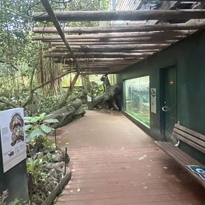 Tropezoo walkthrough aviary 261124