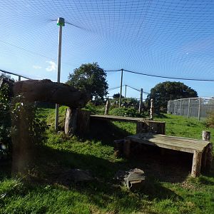 Snow leopard enclosure 14.10.23