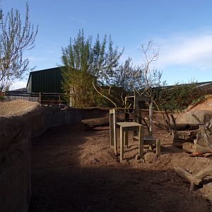 Meerkat and cape porcupine enclosure 14.10.23