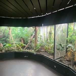 Tropezoo - Mixed exhibit 261124