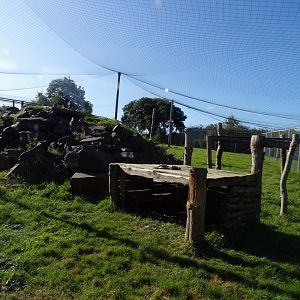 Snow leopard enclosure 14.10.23