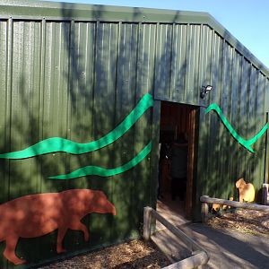 View outside Tapir and Capybara house 14.10.23