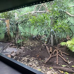 Tropezoo - Mixed exhibit 261124