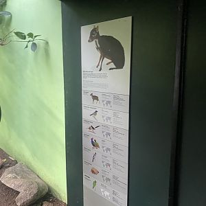 Tropezoo - Signage for mixed exhibit 261124