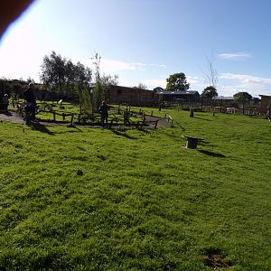 Parma and Bennett’s wallaby walkthrough enclosure 14.10.23
