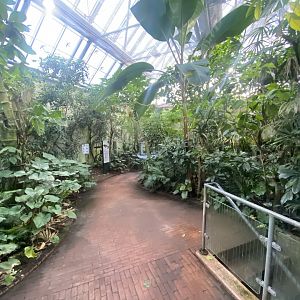 Tropezoo - second walkthrough aviary 261124