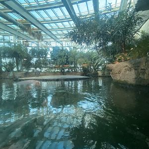 Hippopotamus habitat 261124