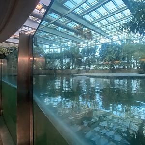 Hippopotamus habitat 261124