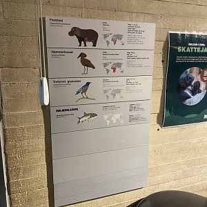 Hippopotamus habitat signage 261124