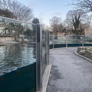 East Atlantic harbour seal habitat 261124