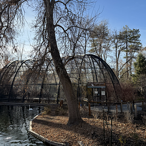 Swan Pond & Kennecott Wetland Immersion Experience