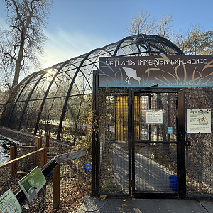 Kennecott Wetland Immersion Experience