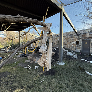 Kea habitat - Expedition Kea