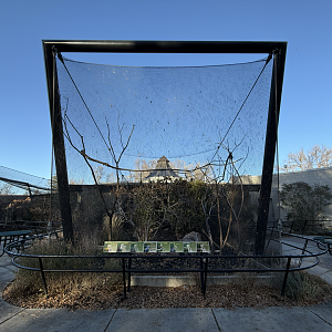 South American Pavilion