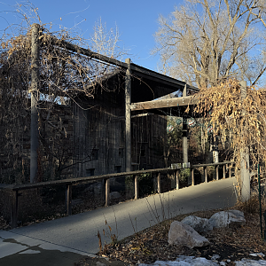 Macaws and King Vultures
