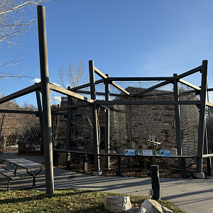 Macaws and King Vultures