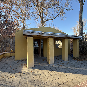 Backyard Birds - Destination Argentina