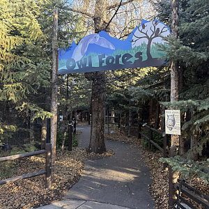 Entrance - Owl Forest