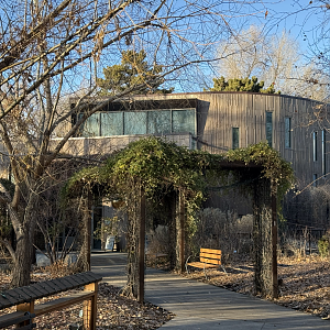 Treasures of the Rainforest