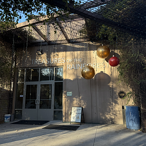 Entrance - Treasures of the Rainforest