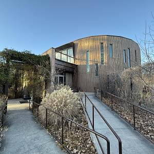 Treasures of the Rainforest