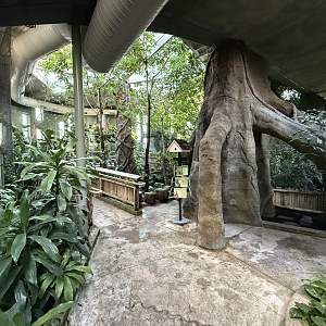 Treasures of the Rainforest (Indoors)