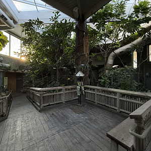 Treasures of the Rainforest (Indoors)