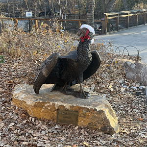 Andy N. Condor Statue