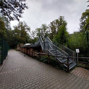 Spotted hyena viewing platform