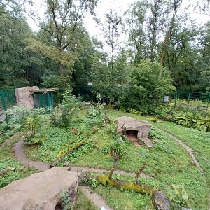 Spotted hyena enclosure