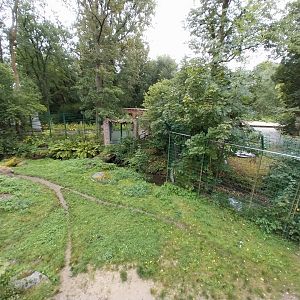 Spotted hyena enclosure