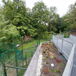 Spotted hyena second enclosure