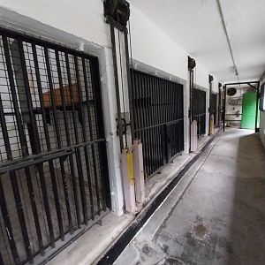 Bear House (not in use)