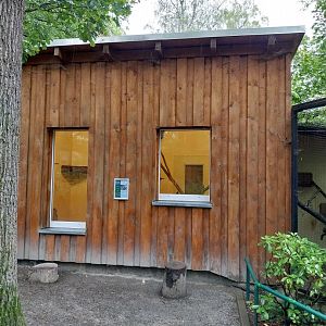Small Felids Courtyard - Gordon's Wild Cat Building