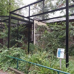 Small Felids Courtyard - Siberian Pallas' Cat enclosures