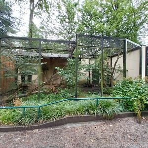 Small Felids Courtyard - One of the Amur Leopard Cat enclosures