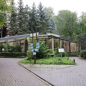 Krallenaffenhaus (Callitrichidea)