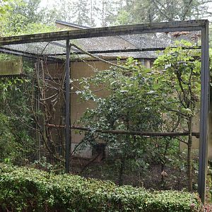 Krallenaffenhaus (Callitrichidea)