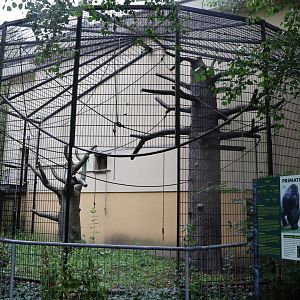 Tropenhaus - Former enclosure for Spider monkeys