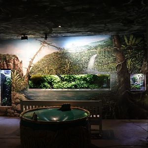 Tropenhaus - Entrance room